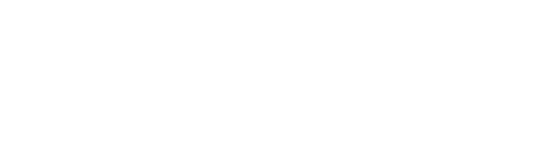 Newt Labs
