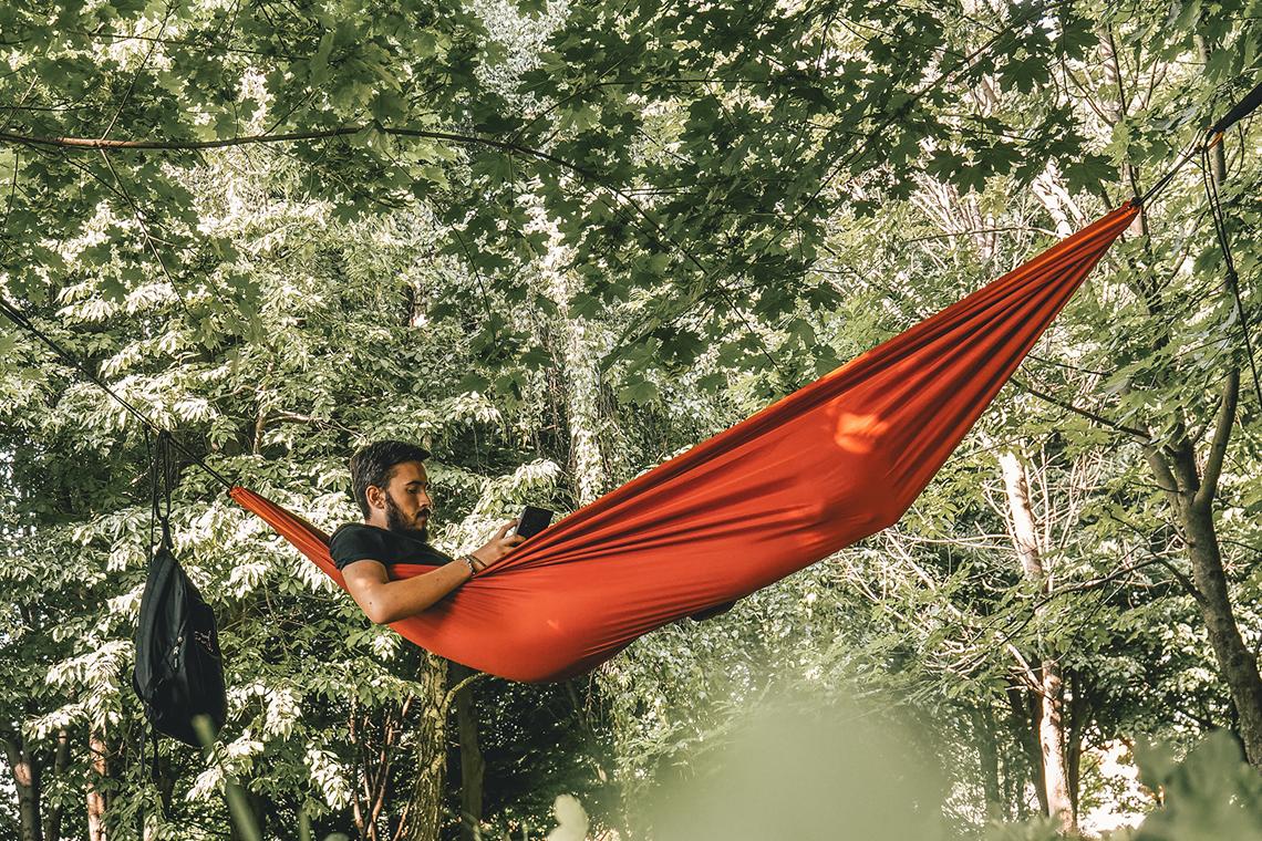 non coder resting in a hammock learning about the wordpress api